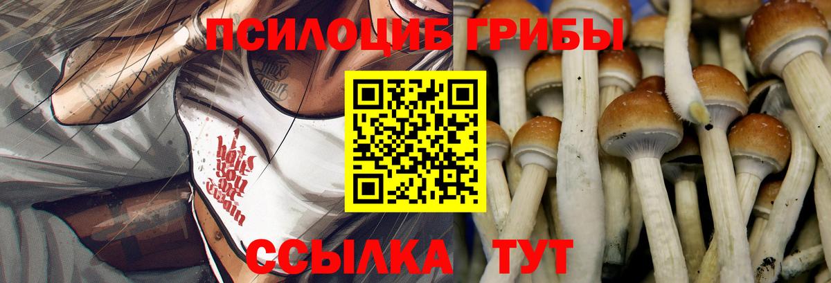 купить закладку  Псилоцибиновые грибы ЛСД  Вход с VPN  Сафоново 